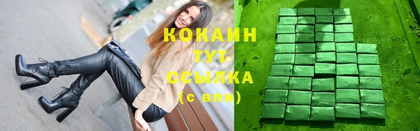 стаф Алзамай