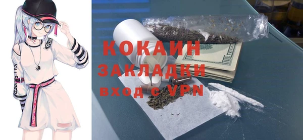 стаф Алзамай