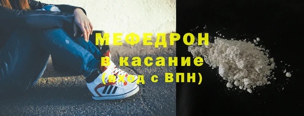 стаф Алзамай