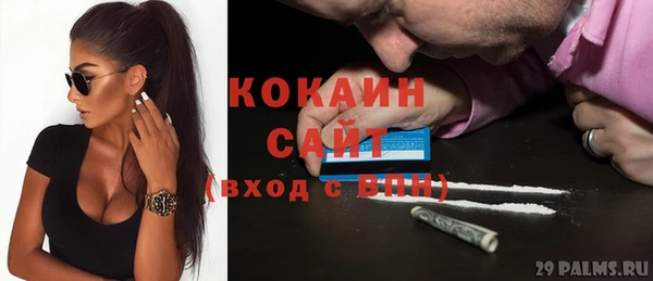 стаф Алзамай