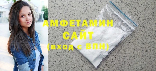 индика Новодвинск