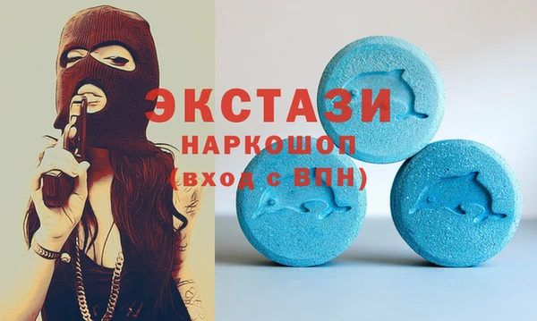 стаф Алзамай