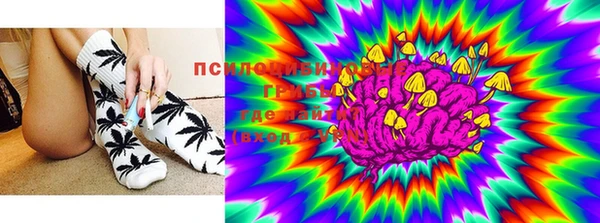 тгк Новокубанск