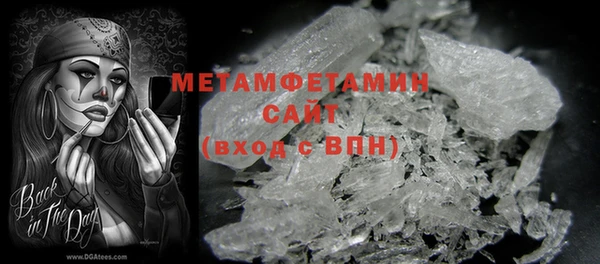 индика Новодвинск