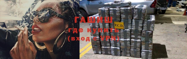 стаф Алзамай
